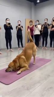 ИИ спешит на помощь. Часть 9 image preview