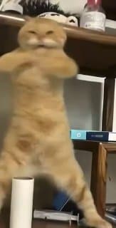 ИИ спешит на помощь. Часть 13 image preview