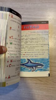 EMBA. Сколково. Фундамент image preview