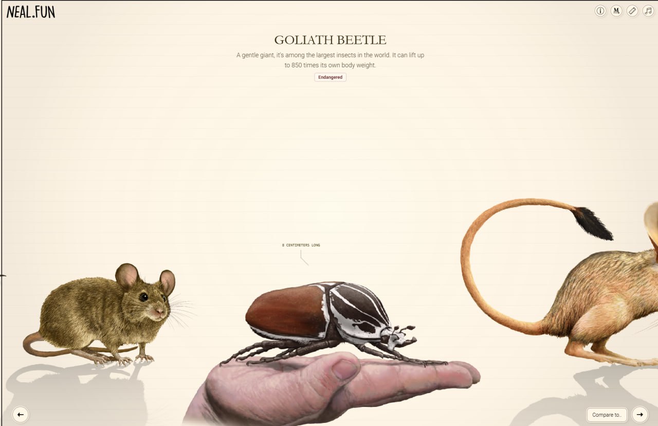 Фотография поста