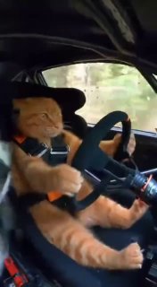 Фотография поста